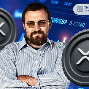 Here’s XRP Price if the Crypto Market Cap Hits $10T as Predicted by Cardano Founder