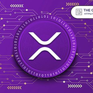 Expert Says You Cannot Achieve Financial Freedom by Holding 20,000 XRP