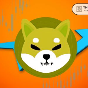 Expert Shares Two Major Catalysts for an Over 246% Shiba Inu Rally to $0.000032