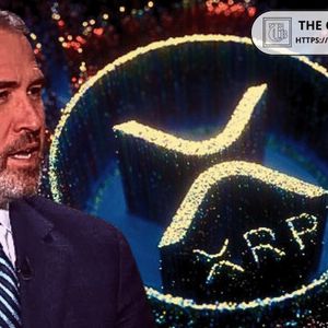 Ripple CEO Says Company Prioritizes Long-Term Value Creation for XRP Over Speculative Cycles