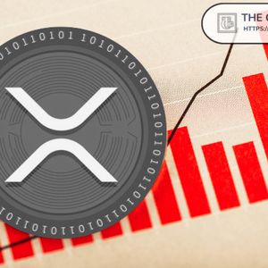 Data Shows 45% of XRP Wallets Hold Less Than 100 XRP
