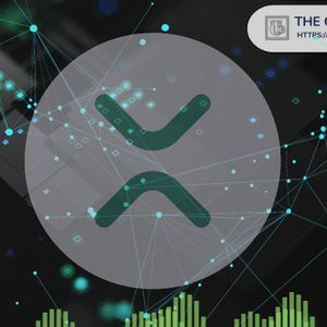 Annual XRP Payment Volume Spiked from $259B in 2024 to $617B in 2025, Highest in History: Dune Report