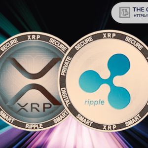 Ripple Pressed to Demand Government Disclosure of Epstein-Linked Influence Over XRP