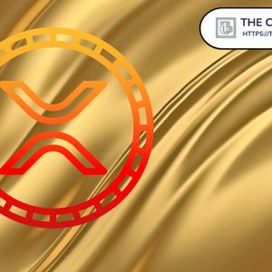 XRP 8-Year Consolidation: Can It Repeat Gold Parabolic Run?