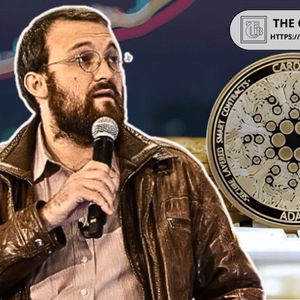 Tung Reveals Why Cardano founder Gets Unfair Criticism Despite Building
