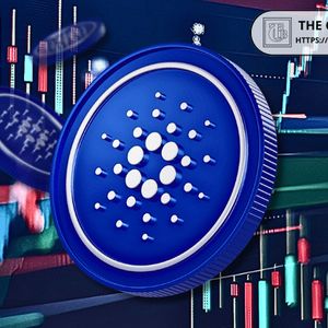 What Could Happen as Cardano Activates Long-Term Support