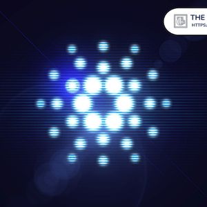 Weiss Ratings Praises Cardano Team, Backs Midnight’s Long-Term Potential