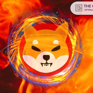 2 Reasons Shiba Inu Future Looks Promising and 2 Key Risks Facing SHIB