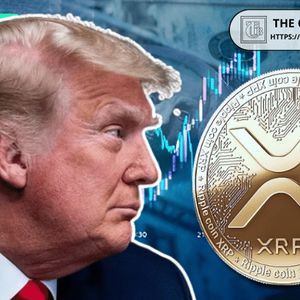 If You Invested $10,000 in XRP When Trump Took Office, What It’s Worth Now