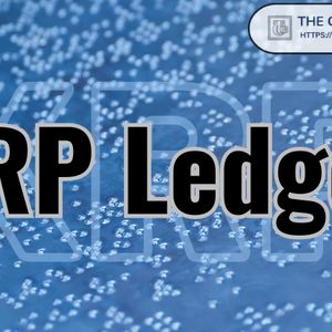 Don’t Underestimate the Value of XRP Ledger, Wealth Advisor Says