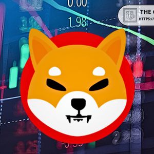 Shiba Inu Exchange Outflows Spike: Is Accumulation Enough to Offset Bearish Signals?