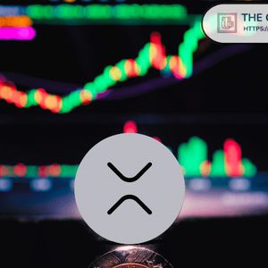 XRP Defies Usual Market Trends as Prices Spike Alongside Exchange Inflows