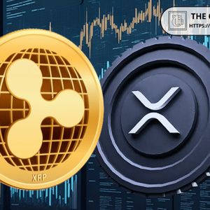 Teucrium CEO Explains Why XRP and Ripple Could Power the Future of Finance