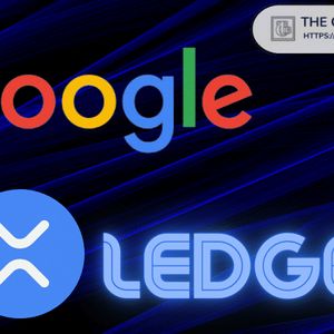 XRP Is the Google of Crypto and We’re Still in 2003: Analyst
