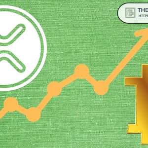 XRP Proves More Adaptable as Bitcoin Faces “Social Test” Over Quantum Upgrade, Says XRPL Validator