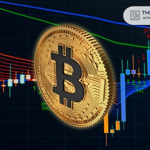 On-Chain Data Suggest Bitcoin Has Not Hit the Full Bear Market Floor