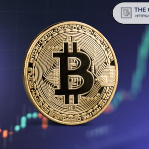 Bitcoin Has Not Yet Recorded the Profit Structure Reset Seen in Past Bear Markets