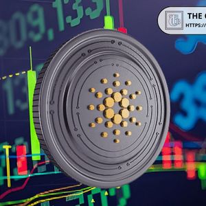 Cardano New Entry Presents 3,270% Opportunity
