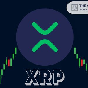XRP RSI Has Now Reached the Same Level That Preceded Every Major Price Explosion Since 2016