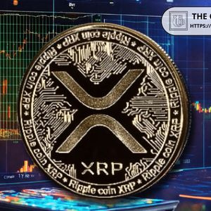 XRP Whale Outflow Dominance Hits 90% Across CEXs, 91.4% on Binance