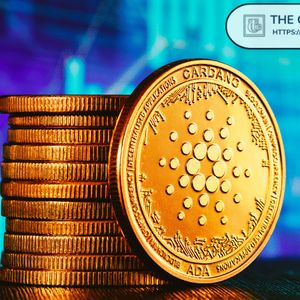 Cardano Holds Long-Term Support as Whales Control 67% of ADA Supply, Hinting at Bigger Move Ahead