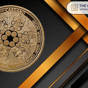 Everstake Says Cardano Could Be This Year’s Biggest Surprise