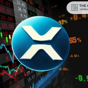 XRP Has Now Entered the Same Buy Warning Zone as Bitcoin