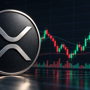 Whales Pull 301,000,000 XRP From Four Exchanges