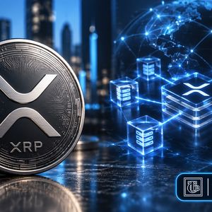 Daily XRP Transactions Spike 1,717% to New 6-Month Peak