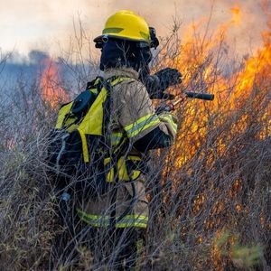 ALERT California: AI Takes the Frontline in Battling California's Wildfires