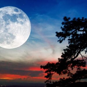 MoonX Rolled Out as BYDFi’s Solution to Simplify DEX Access for CEX Users