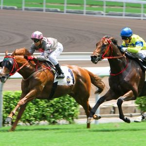 Race to Win: Owners Club Featured in Latest BitDegree Mission