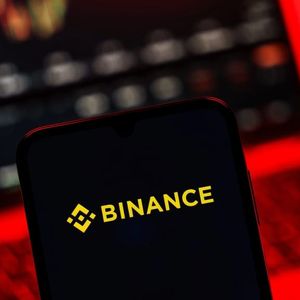 Binance Blames Price Display Bug After Tokens Seem to Hit $0