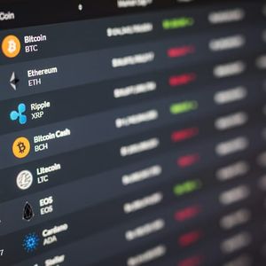 Zerohash Study: 84% of Young Investors Plan Bigger Crypto Bets