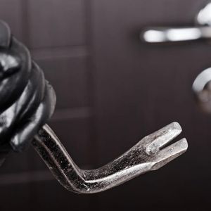 French Woman Held at Gunpoint as Robbers Snatch Crypto USB