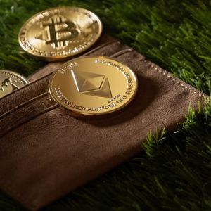 Not all crypto's the same - here's how to tell them apart
