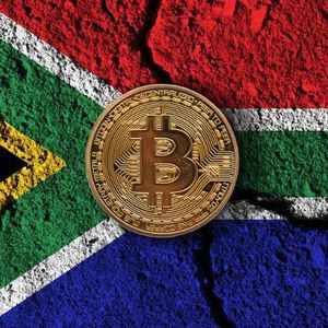 South African Crypto Ads Must 'Clearly' Warn of Capital Loss Risk: Regulation