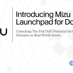 D3 Unveils Mizu Launchpad on Doma Protocol, Unlocking DeFi Potential for Internet Domains