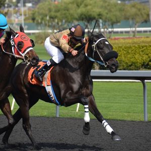 TheSportExchange, Algoz join forces to build liquidity for sports digital assets