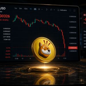 BONK crashes 19% as hacker moves $4.1M to Binance: more plunge ahead?