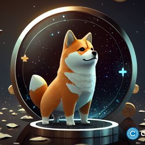 Shiba Inu price drops further despite being whales’ favorite