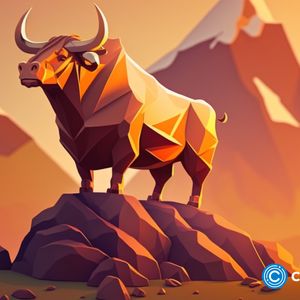 Data suggests bull run for bitcoin despite the price decline