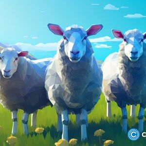 New Zealand not quick to implement crypto regulatory policies