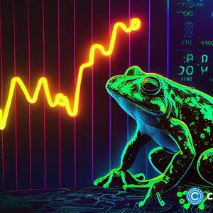 5 meme coins that can break into the top-50 in 3 years