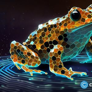 KuCoin to implement KYC in July, TOADS prices expected to surge