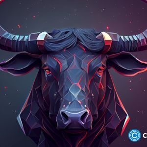 Compound soars 50%, 3 reasons this meme coin will follow suit