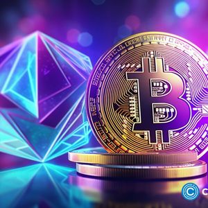 Bitcoin sees 3-month high in new addresses following spike to $31,000