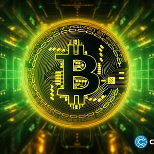 DigiToads, Bitcoin Lightning Network adoption rising
