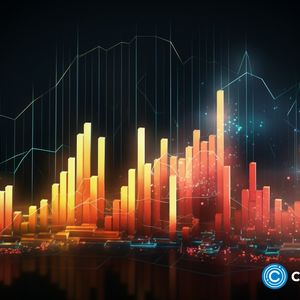 Stellar versus Alex The Doge: comparing features and potential