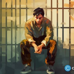 Thodex ex-CEO jailed for 7.5 months in Turkey